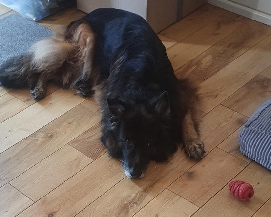 Kaiser – Suffolk
